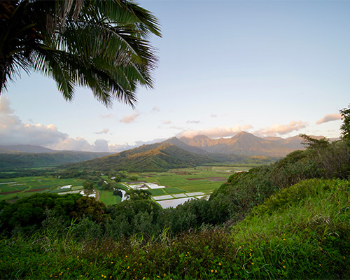  Hawaiʻi Photo